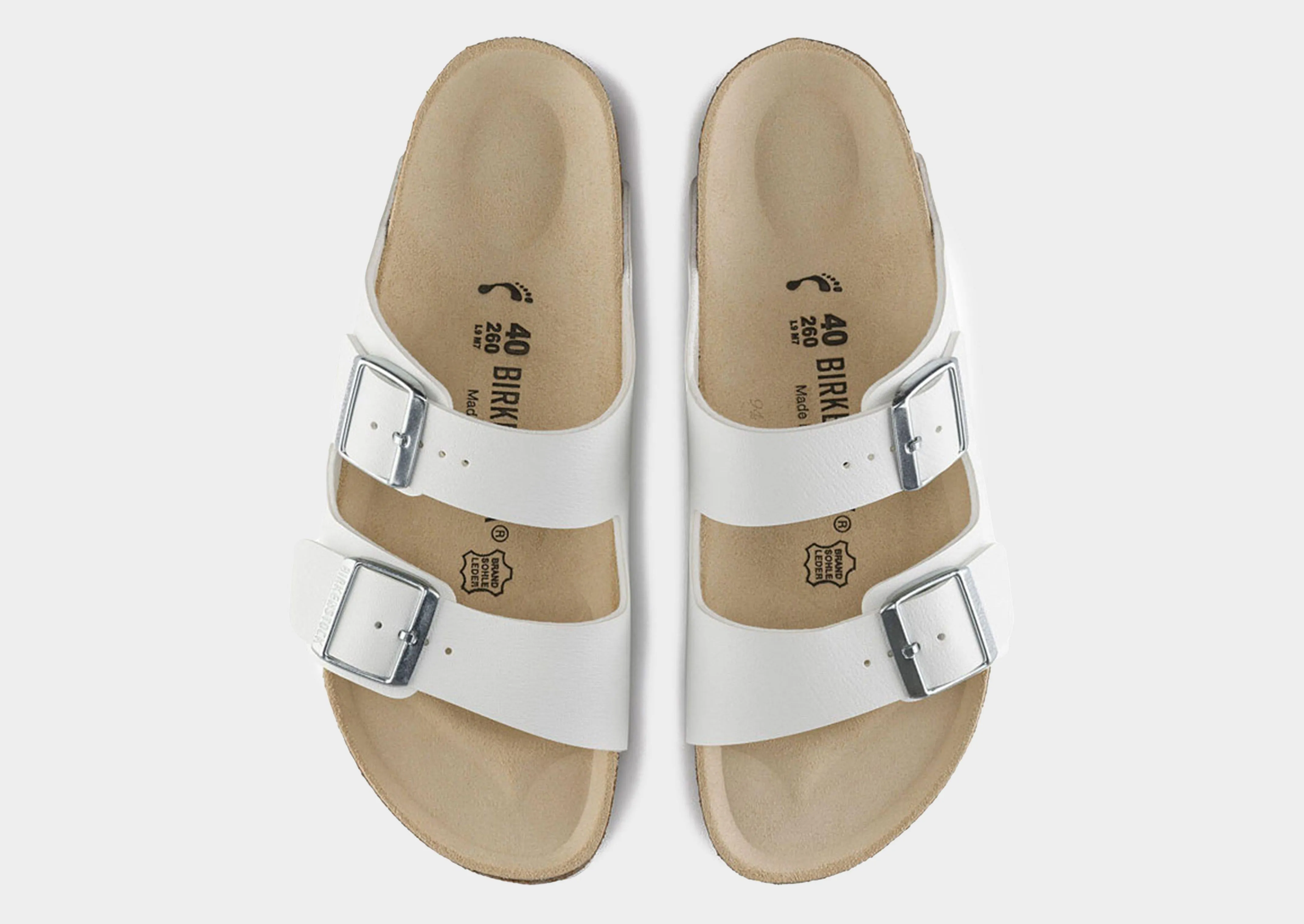 Arizona BF Women's