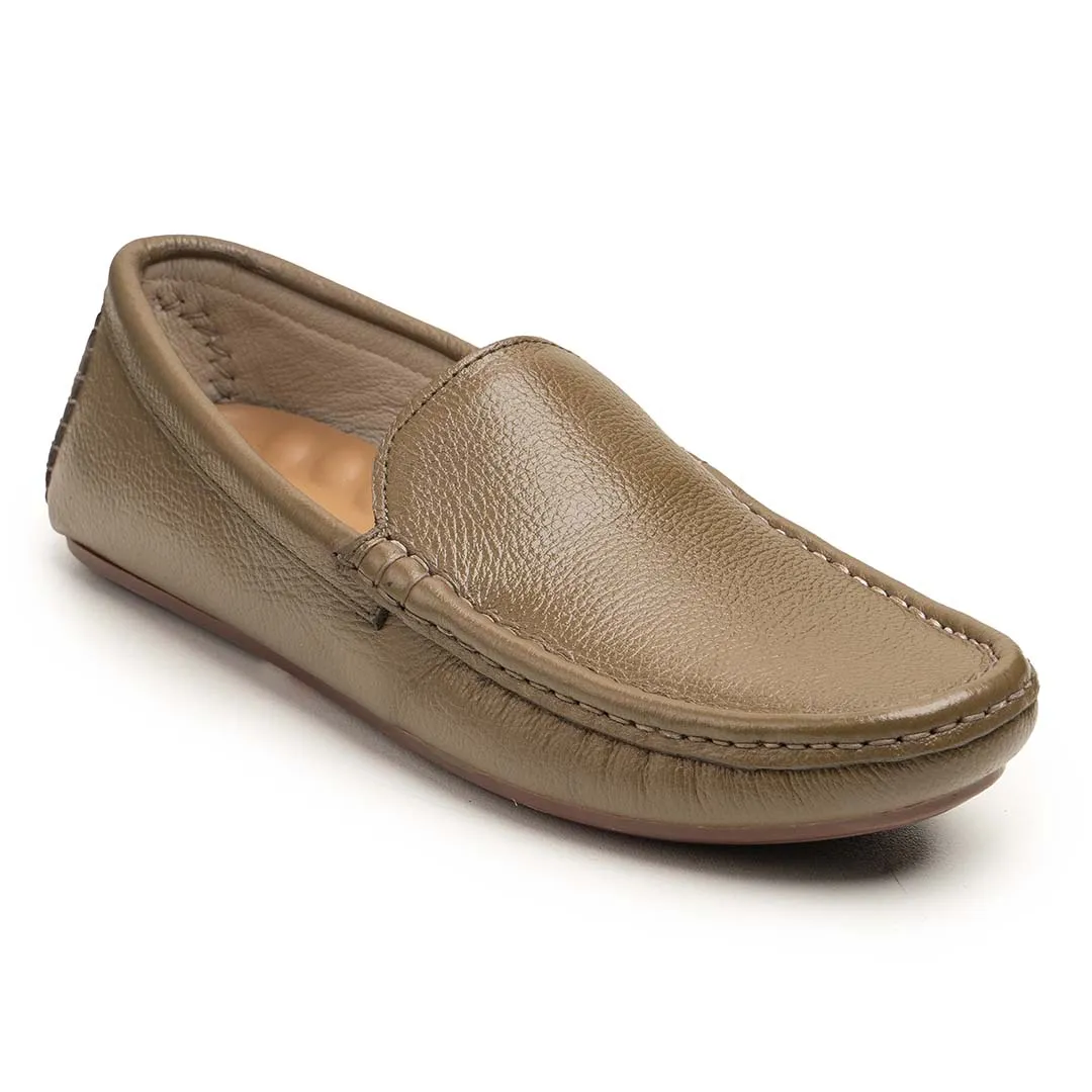 S- 2041  Olive